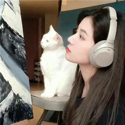 一个布袋八个头 海报